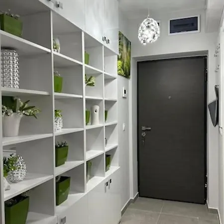 Verdana Τιμισοάρα